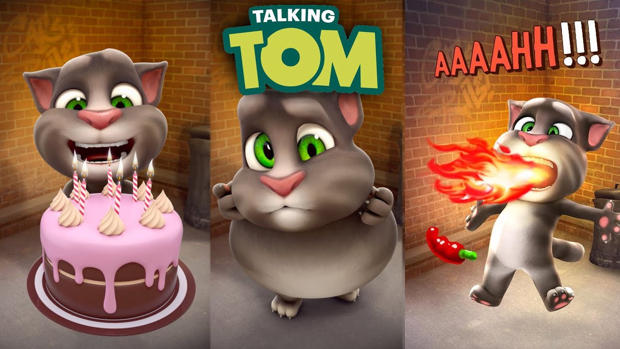 My talking tom play now